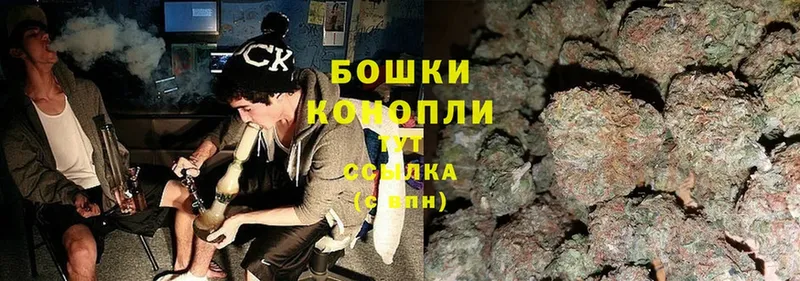 как найти наркотики  Жуковский  Бошки марихуана THC 21% 